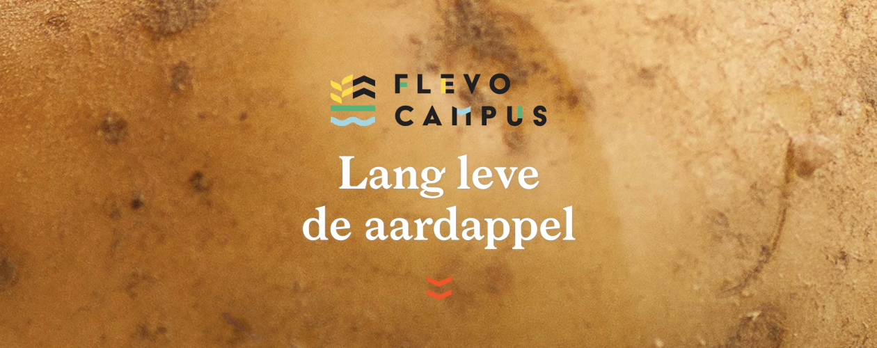 Flevo Campus Specials #2: de aardappel