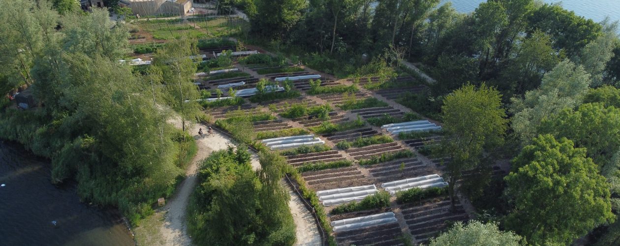 Stadslandbouw FOODCITYBOOST Stadslandbouw